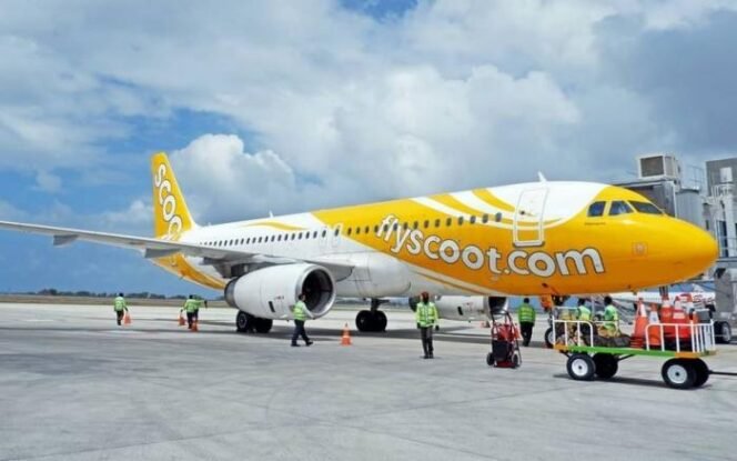 
					Maskapai Scoot Buka Rute Penerbangan Padang ke Singapura. IST